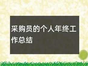 采購員的個人年終工作總結(jié)