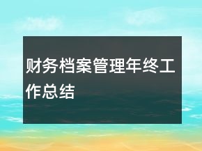 財務(wù)檔案管理年終工作總結(jié)