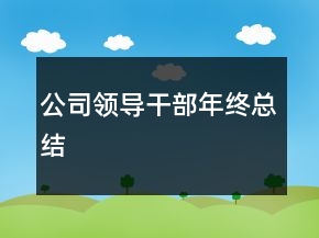 公司領(lǐng)導(dǎo)干部年終總結(jié)