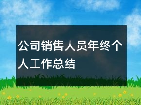 公司銷售人員年終個(gè)人工作總結(jié)