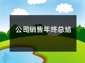 公司銷售年終總結(jié)