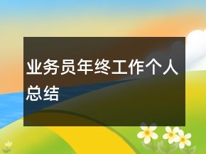 業(yè)務(wù)員年終工作個(gè)人總結(jié)