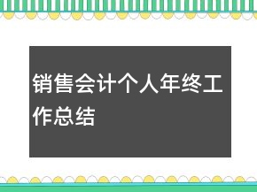 銷售會計(jì)個(gè)人年終工作總結(jié)
