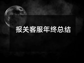 報(bào)關(guān)客服年終總結(jié)