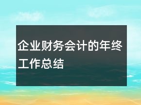 企業(yè)財(cái)務(wù)會(huì)計(jì)的年終工作總結(jié)