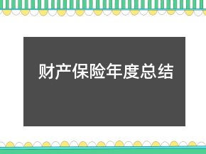 財產(chǎn)保險年度總結(jié)