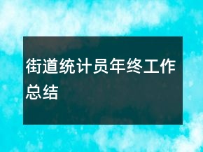 街道統(tǒng)計員年終工作總結(jié)