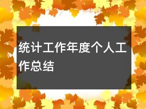 統(tǒng)計工作年度個人工作總結(jié)