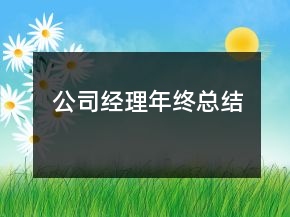 公司經(jīng)理年終總結(jié)