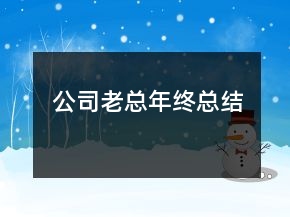 公司老總年終總結(jié)
