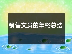 銷售文員的年終總結(jié)