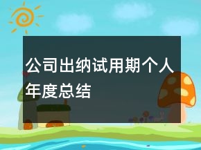 公司出納試用期個(gè)人年度總結(jié)