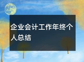 企業(yè)會計工作年終個人總結(jié)