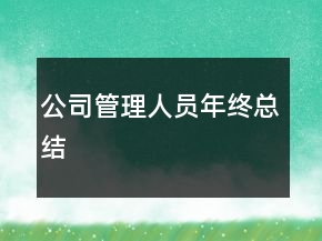 公司管理人員年終總結(jié)