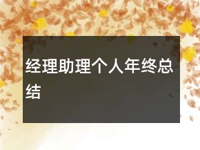 經(jīng)理助理個(gè)人年終總結(jié)