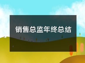 銷售總監(jiān)年終總結(jié)
