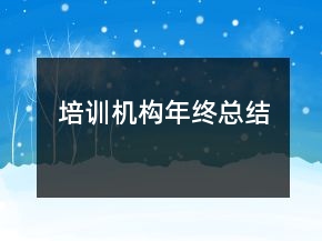 培訓(xùn)機(jī)構(gòu)年終總結(jié)