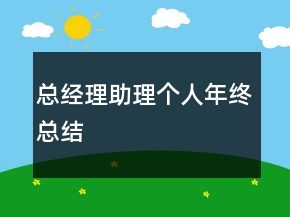 總經(jīng)理助理個(gè)人年終總結(jié)