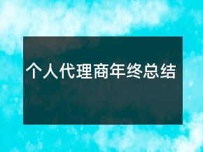 個人代理商年終總結