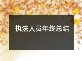 執(zhí)法人員年終總結(jié)