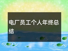 電廠員工個人年終總結