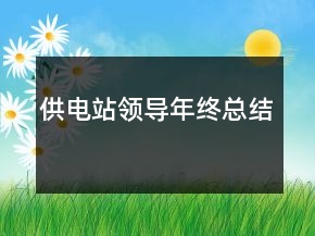 供電站領(lǐng)導年終總結(jié)