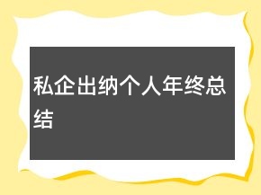 私企出納個(gè)人年終總結(jié)