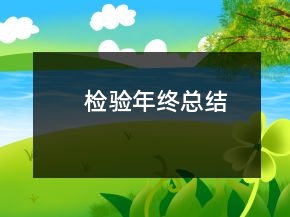 檢驗(yàn)?zāi)杲K總結(jié)