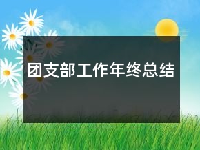 團(tuán)支部工作年終總結(jié)