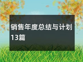 銷售年度總結(jié)與計(jì)劃13篇