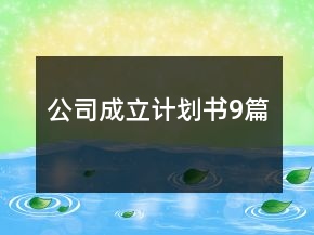公司成立計劃書9篇