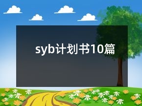syb計劃書10篇