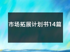 市場拓展計劃書14篇