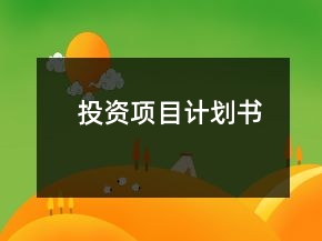 投資項目計劃書
