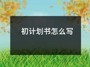 初計劃書怎么寫
