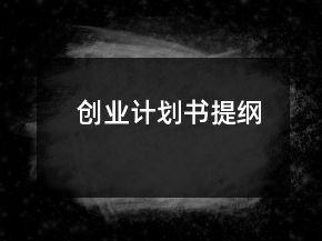 創(chuàng)業(yè)計劃書提綱
