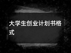 大學(xué)生創(chuàng)業(yè)計劃書格式