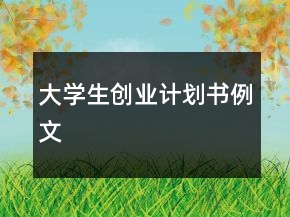 大學(xué)生創(chuàng)業(yè)計(jì)劃書例文