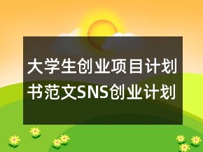 大學(xué)生創(chuàng)業(yè)項(xiàng)目計(jì)劃書范文SNS創(chuàng)業(yè)計(jì)劃書
