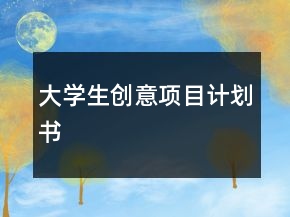 大學(xué)生創(chuàng)意項(xiàng)目計(jì)劃書(shū)