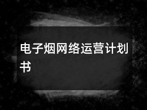 電子煙網絡運營計劃書