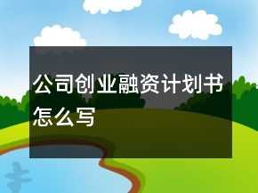 公司創(chuàng)業(yè)融資計劃書怎么寫