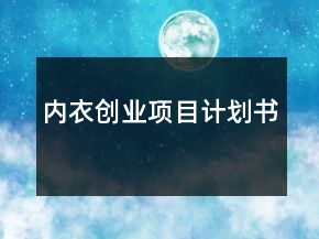 內(nèi)衣創(chuàng)業(yè)項(xiàng)目計(jì)劃書