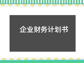 企業(yè)財務(wù)計劃書