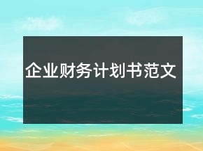 企業(yè)財(cái)務(wù)計(jì)劃書范文