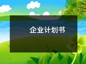 企業(yè)計劃書