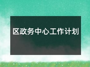 區(qū)政務中心工作計劃