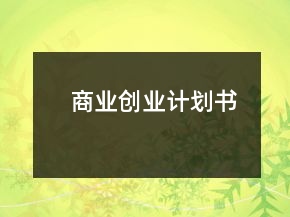 商業(yè)創(chuàng)業(yè)計(jì)劃書(shū)