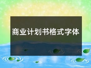 商業(yè)計劃書格式字體