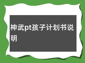 神武pt孩子計劃書說明